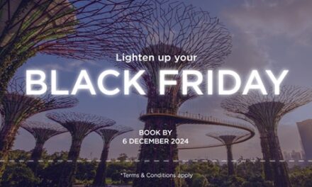 Unmissable Black Friday Travel Deals: Cruises, Flights & Hotel Offers