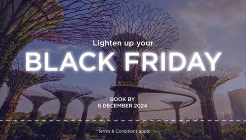 Unmissable Black Friday Travel Deals: Cruises, Flights & Hotel Offers