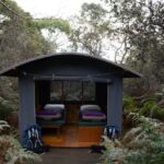 Maria Island Walk: Tasmania’s 2025 Wilderness Escape