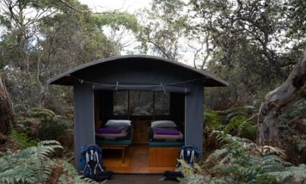 Maria Island Walk: Tasmania’s 2025 Wilderness Escape