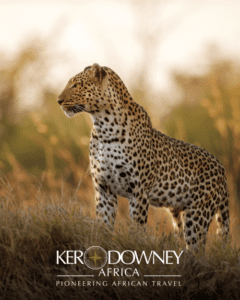 World Travel Awards - Ker & Downey Africa 2