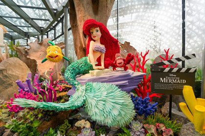 Disney Garden of Wonder Blooms at Gardens by the Bay!