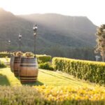 5 Wellness Ideas from Ultimate Winery Experiences