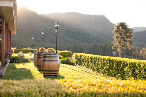 5 Wellness Ideas from Ultimate Winery Experiences