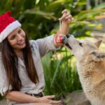 Australia Zoo Animals Celebrate Christmas Cheer!