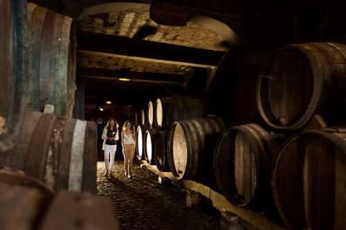 Discover Tenerife: A Paradise for Wine Lovers!