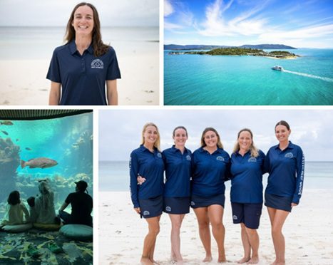 Daydream Island Resort Manager Named Master Reef Guide