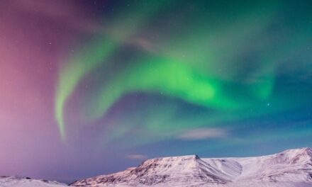 Explore Iceland’s Winter Landscapes on a Premium Tour