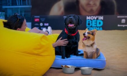 Mov’in Bed Unveils Pooch Cinema at Barangaroo Oasis!