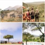 Discover Cottar’s Culinary Safari: Forage & Feast in Mara