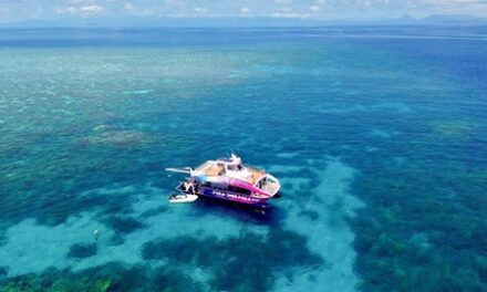 New Great Barrier Reef Boat Launches in Cairns