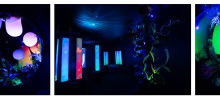 SEA LIFE Sydney Launches Sensory Room for Visitors!