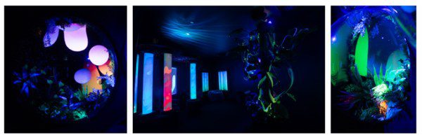 SEA LIFE Sydney Launches Sensory Room for Visitors!