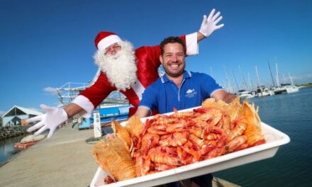 Catch the Moreton Bay Bug This Christmas in Style!