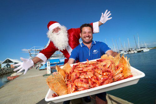 Catch the Moreton Bay Bug This Christmas in Style!