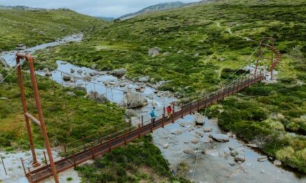 Snowies Alpine Walk Debuts in Kosciuszko’s Scenic Splendour!