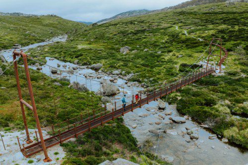 Snowies Alpine Walk Debuts in Kosciuszko’s Scenic Splendour!