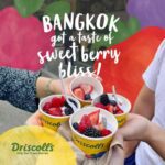 Driscoll’s Berry Roadshow Rocks Bangkok with Fun!