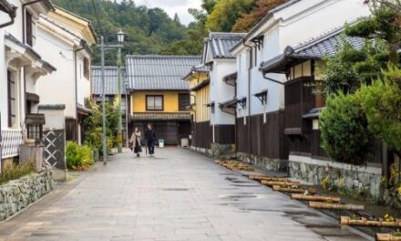 Ehime: Japan’s Hidden Culinary Capital Awaits