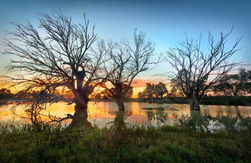 NSW Outback Retreat: New Owners & Holiday Perks!