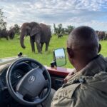 Discover Affordable Luxury Safaris in South Africa