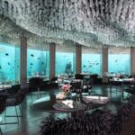 Experience the World’s First Underwater Nikkei Dining!