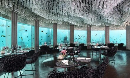 Experience the World’s First Underwater Nikkei Dining!