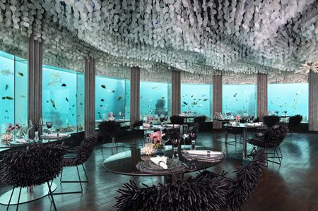 Experience the World’s First Underwater Nikkei Dining!