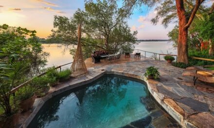 Discover 7 Irresistible Reasons to Love Zambia’s Green Season