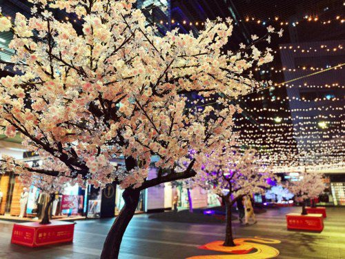 Cherry Blossom Wonderland at World Square for Lunar New Year