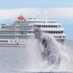 Alaska Awaits: American Cruise Lines Doubles 2025 Capacity!