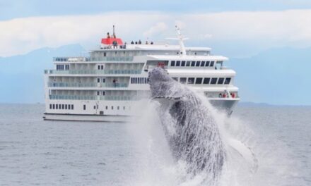 Alaska Awaits: American Cruise Lines Doubles 2025 Capacity!