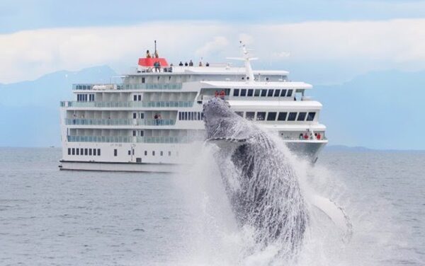 Alaska Awaits: American Cruise Lines Doubles 2025 Capacity!