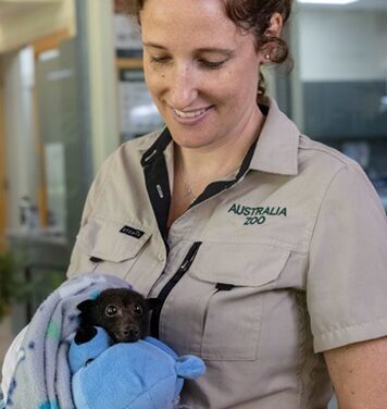 Australia Zoo Battles Deadly Threat to Flying Foxes & Lorikeet