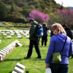 Book Now: Anzac Day 2025 Tours with Mat McLachlan