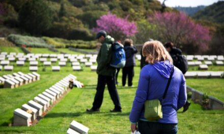 Book Now: Anzac Day 2025 Tours with Mat McLachlan