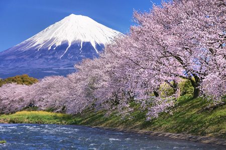 Shizuoka in 2025
E
