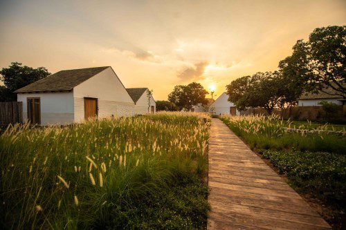 Escape to ROUKH KIRI Khaoyai: A 5-Star Organic Retreat!