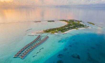 Celebrate Year of the Snake at Kuda Villingili Maldives