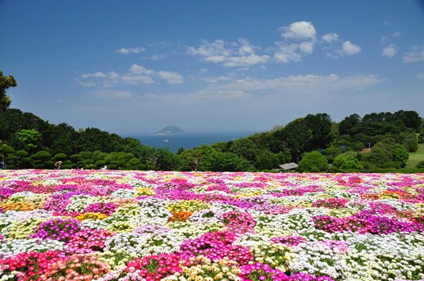 Discover Fukuoka City: Japan’s 2025 Travel Hotspot for Nature and Culture