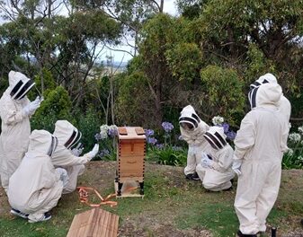 Sequoia Lodge Offers Mindful Moments with Bees!