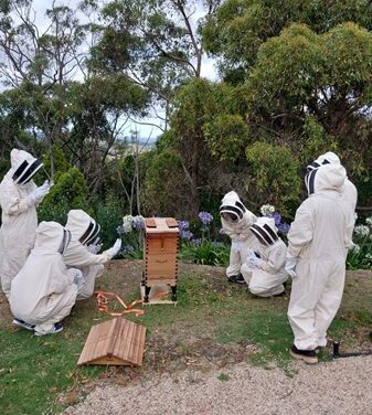 Sequoia Lodge Offers Mindful Moments with Bees!