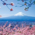 Windstar’s 2027 Japan Cruises Now Open for Booking!