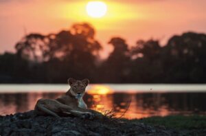 Zambia’s oldest and largest national park, Kafue.