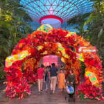 🔹 Jewel Changi Airport Shatters Footfall Records!