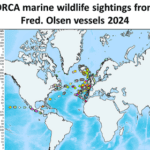 Fred. Olsen Logs 9,500 Wildlife Sightings with ORCA