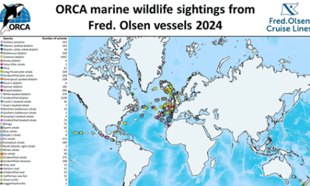 Fred. Olsen Logs 9,500 Wildlife Sightings with ORCA