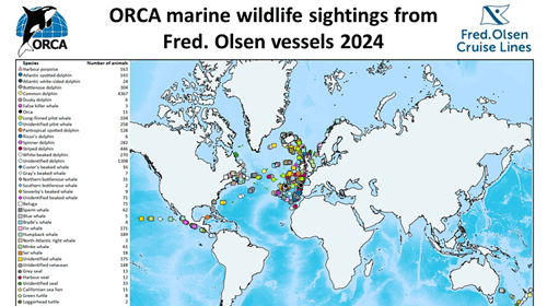 Fred. Olsen Logs 9,500 Wildlife Sightings with ORCA