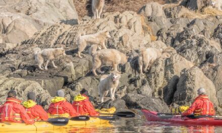 Seabourn Venture Unveils 2026 Northwest Passage Tours