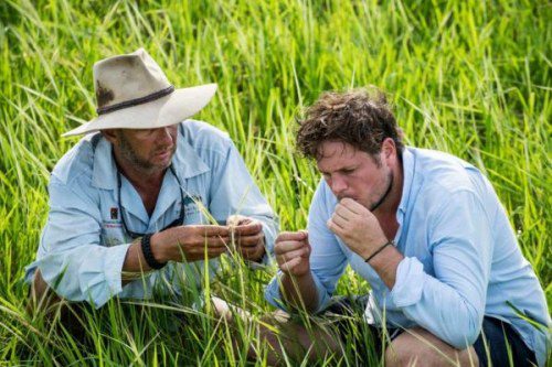 Acclaimed chef, James Viles hosts culinary safari at Bamurru Plains
